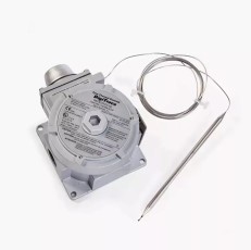 RAYSTAT EX-02 (EEx d II C) (404385-000) Управляющий термостат Control Thermostat