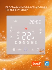 Программируемый терморегулятор ТС 650